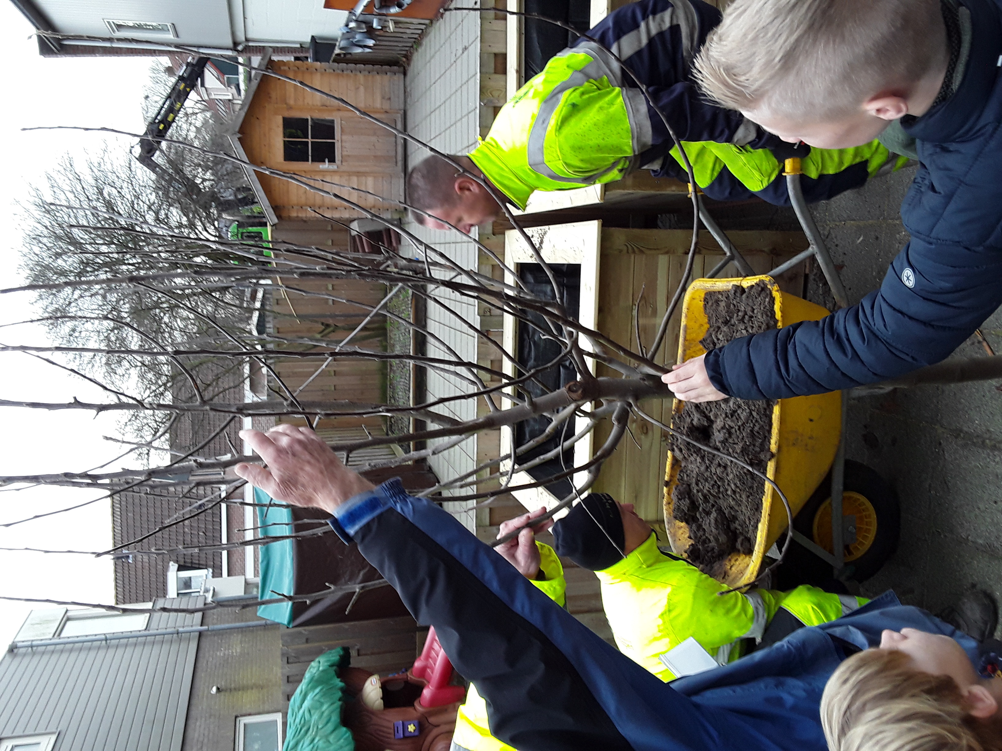 "fruitbomen op schoolpleinen"