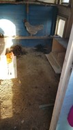 IMG-20230303-WA0038