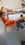 IMG-20230505-WA0013