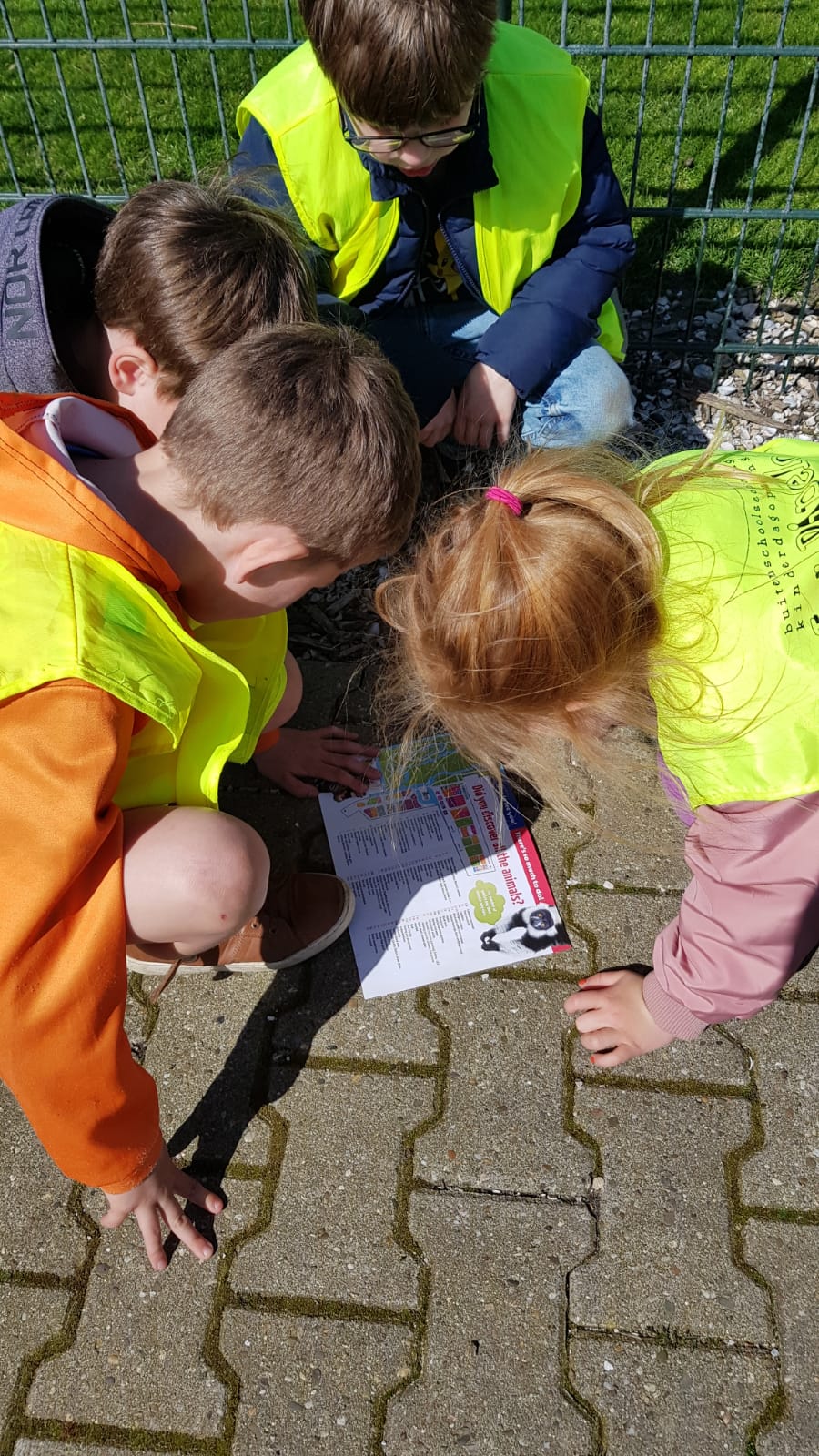 Dierenpark Van Blanckendaell Park