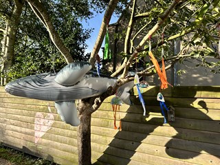 IMG_1772