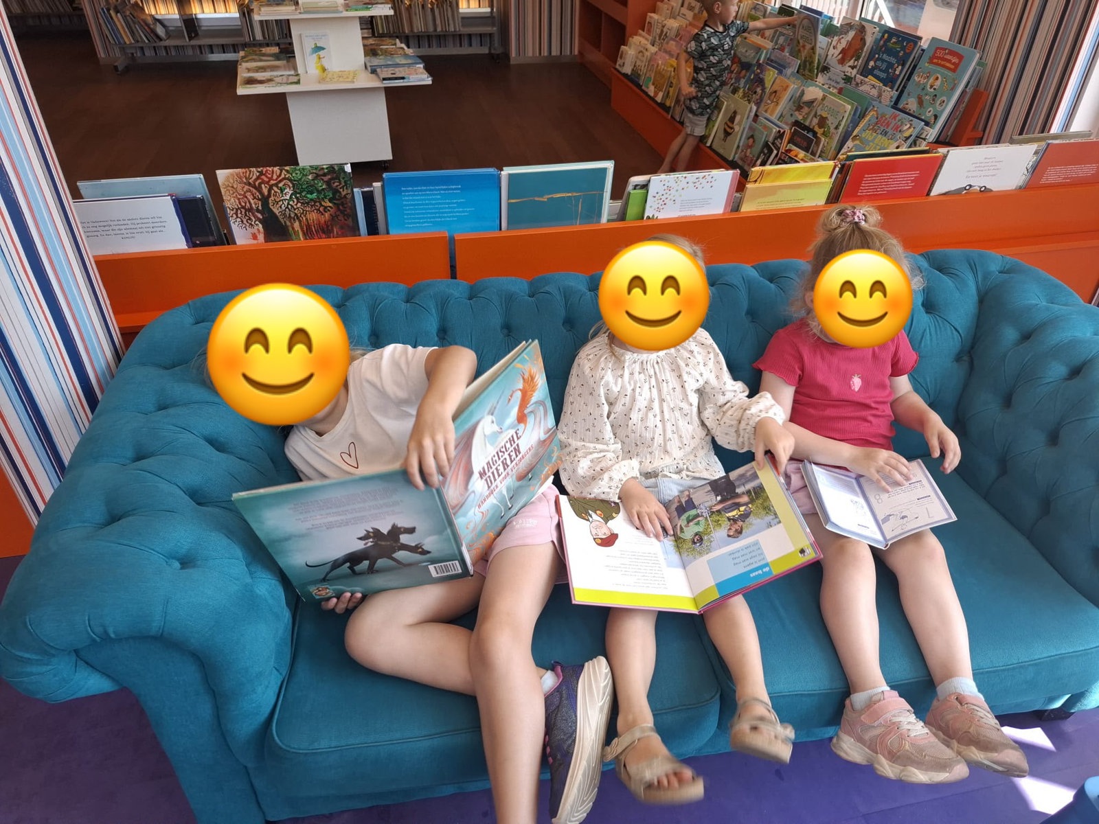 BSO beroepen: De bibliothecaris/resse